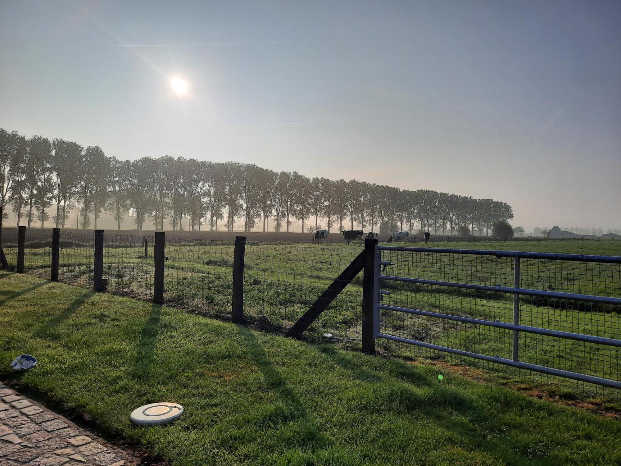 B&B Den Bruynen Bergh Beernem Exterior foto